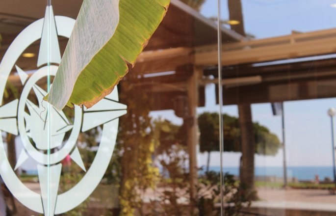 Home - Detalle de la Entrada